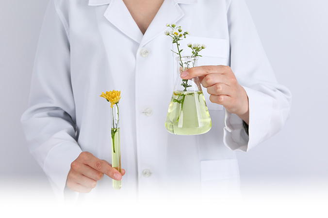 Fitoterapia Farmacia Vasco de Gama en Sevilla